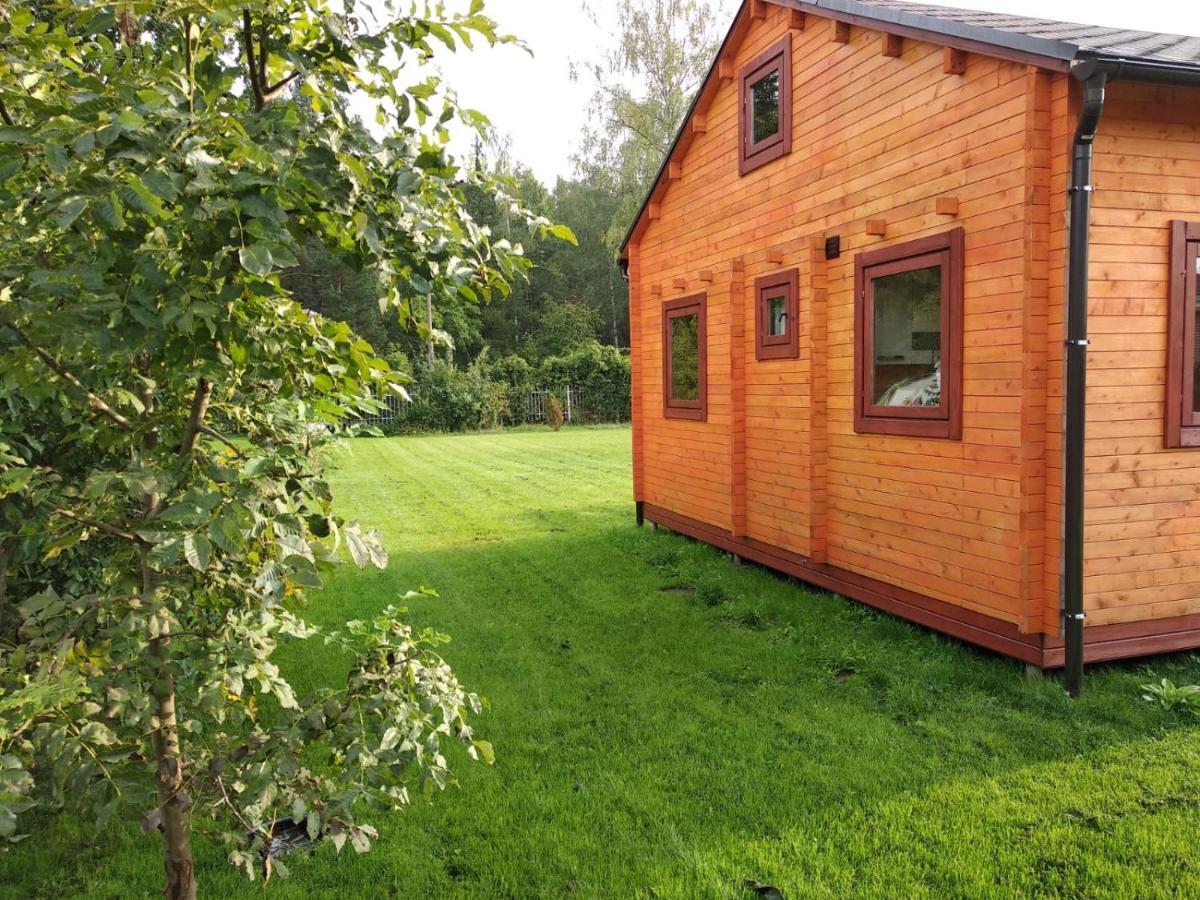 Family Summer House In Jurmala Bagian luar foto